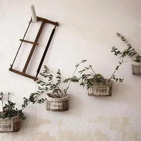 Apartment Rustic Med Casa Llorens